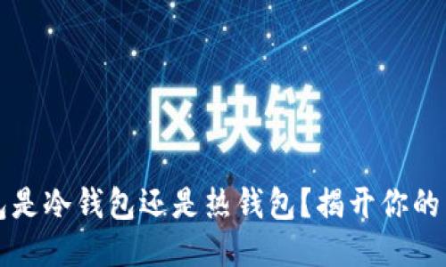 token.im钱包是冷钱包还是热钱包？揭开你的币安工具面纱