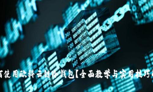 如何使用欧科云链冷钱包？全面教学与实用技巧解析