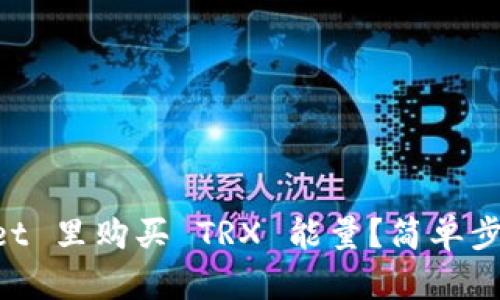 如何在 TP Wallet 里购买 TRX 能量？简单步骤教你轻松搞定！