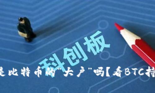 你知道谁是比特币的“大户”吗？看BTC持有量排行！