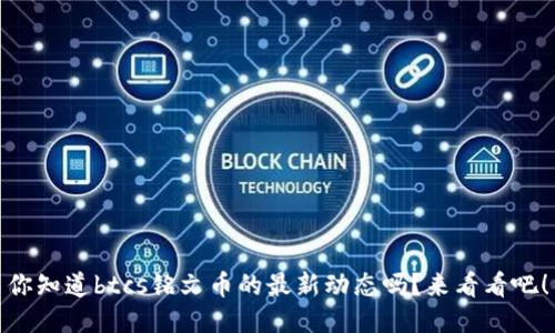 你知道btcs铭文币的最新动态吗？来看看吧！