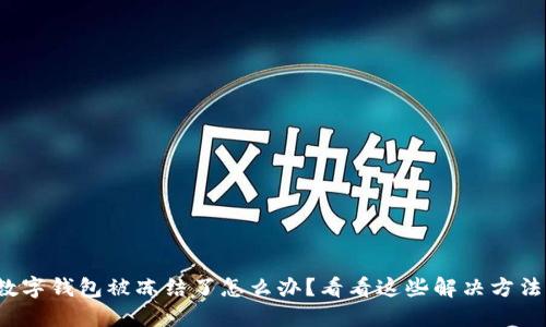 数字钱包被冻结了怎么办？看看这些解决方法！