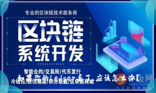 如果你的Ledger丢了，应该怎么办？