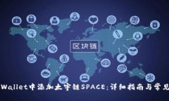 如何在TPWallet中添加太宇链SPACE：详细指南与常见