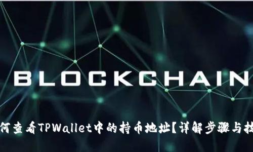 如何查看TPWallet中的持币地址？详解步骤与技巧