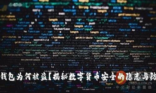冷钱包为何被盗？揭秘数字货币安全的隐患与防护