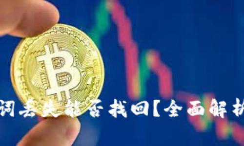 冷钱包助力词丢失能否找回？全面解析与解决方案