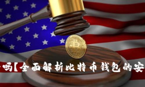 比特币钱包安全吗？全面解析比特币钱包的安全性与保护措施