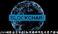 TPWallet删除后怎么办？如何找回钱包及资产安全指