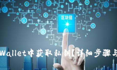 如何在TPWallet中获取私钥？详细步骤与注意事项