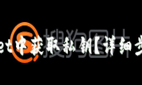 如何在TPWallet中获取私钥？详细步骤与注意事项