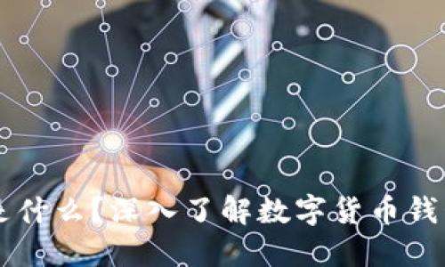 虚拟币的钱包是什么？深入了解数字货币钱包的类型与功能