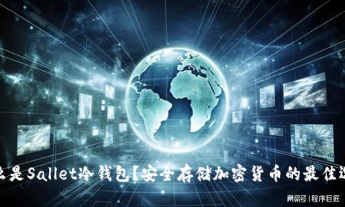 什么是Sallet冷钱包？安全存储加密货币的最佳选择