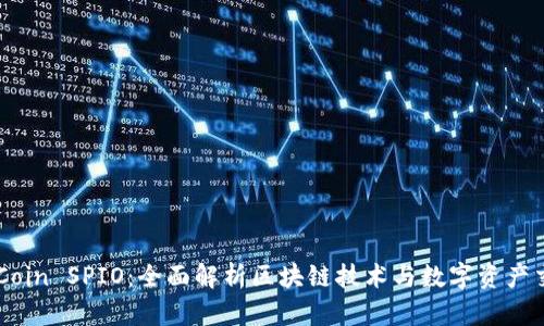 OkCoin SPIO：全面解析区块链技术与数字资产交易