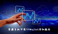苹果手机下载TPWallet详细教程