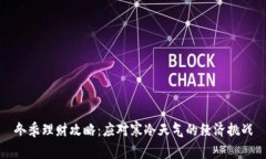 冬季理财攻略：应对寒冷天气的经济挑战