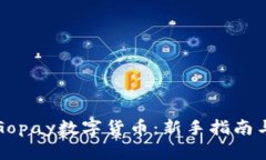 如何获得Gopay数字货币：新手指南与实用技巧